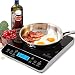 Duxtop Portable Induction Cooktop, Countertop Burner 1800W Silver 9600LS