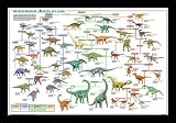 Dinosaur Evolution (Illustrated) White Wood-Mounted Art Poster Print - 24 X 36