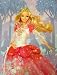 Barbie Royal Plush Raschel Throw - Barbie in the 12 Dancing Princesses Blanket