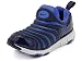 NIKE(ナイキ) DYNAMO FREE (PS)(ダイナモフリー(PS)) 343738 444 ミッドナイトネイビー/メガブルー/ミッドナイトネイビー