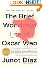 The Brief Wondrous...