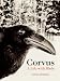 Corvus: A Life with Birds