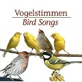 Vogelstimmen