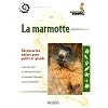 La marmotte