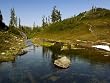 Quiet Corner of Bagley Lakes in Washington's Northern Cascade Mountains - Attractive 16x20 Photographic Print by Brendan Reals