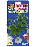 Zoo Med Laboratories AZMBP20 Betta Plant Philo