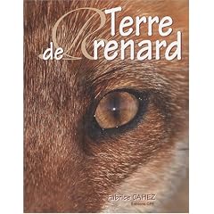 Terre de renard