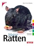 Meine Ratten: Rund um das Tier. Gut versorgt. Nat�rlich gesund. Spiel und Spa�. Verhalten verstehen