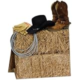3-D Western Centerpiece Party Accessory (1 count) (1/Pkg)