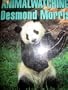 Animalwatching: A New Guide to the Animal World