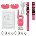 AGPtEK® Rechargable LCD Remote Control Dog Training Shock Collar with 100 Level Shock and Vibration - 2 Collar
