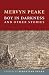 Boy in Darkness and Other Stories (Paperback) by Mervyn Peake