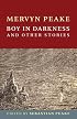 Boy in Darkness and Other Stories