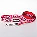 Blueberry Pet Essentials 2 Patterns Durable Pink Webbing Ladybug Designer Dog Leash 4 ft x 1