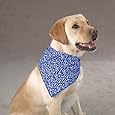 Aria, Blue Ribbon Bone Bandana, Blue