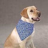 Aria, Blue Ribbon Bone Bandana, Blue