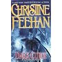 Dark Curse (The Carpathians (Dark) Series, Book 16&hellip by Christine Feehan