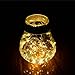 Firecore 2 Pack LED Copper Wire Lights ,16.4ft 50 Leds ,Waterproof Design for Outdoor Indoor, AA Battery Operated (Warm White)