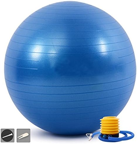 TPTfashion Fitness Anti-Burst Yoga Exercise Ball Workout Ball with Air Pump Air Plugs 65cm Perfect for Home and Office