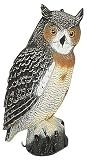 Sporting Goods : Carry-Lite 20" Great Horned Owl Specialty Decoy