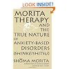Morita Therapy and the True Nature of Anxiety-based Disorders (Shinkeishitsu)