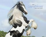Gypsy Vanner Horse 2014 Wall Calendar