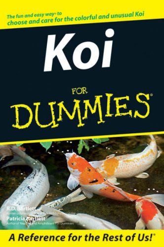 koi fish
