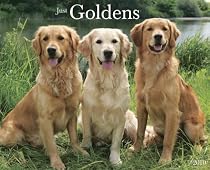 Just Goldens 2010 Calendar