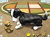 Dogz 2006 (PC CD)