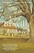 Birchwood (Vintage International) Book Cover