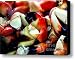 Stone Crab Colossals Canvas Print / Canvas Art - Artist Karen Wiles