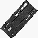 2GB Memory Stick Pro (BRZ)