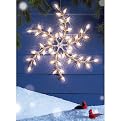C6 Snowflake Display Lighting - White