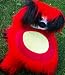 Kid Size Red and Black Animal Dog Chair
