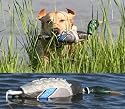 Avery ATB EZ-Bird Training Dummy
