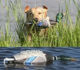 Avery ATB EZ-Bird Training Dummy