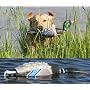 Avery ATB EZ-Bird Training Dummy
