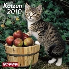 Katzen 2010. Brosch�renkalender