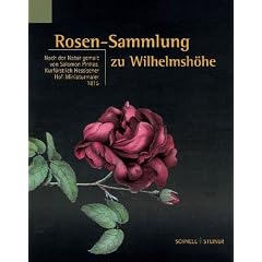 Rosen-Sammlung Zu Wilhelmshohe