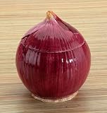 Red Onion Ceramic Container Storage Home Gourmet