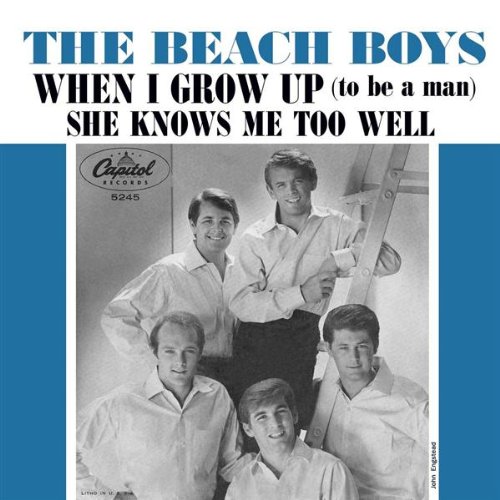 Beach Boys Foto 6