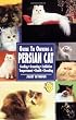Guide to Owning a Persian Cat