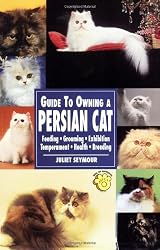 Guide to Owning a Persian Cat