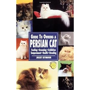 Guide to Owning a Persian Cat