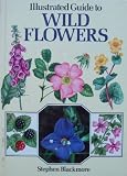 ILLUSTRATED GUIDE TO WILD FLOWERS.