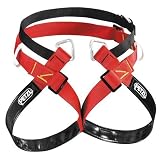 Petzl
