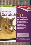 Favor SmartyKat Scratchnip Mat (14in X 18in) with Snap2IT! Toy - (Light Aqua Trimmed Mat)