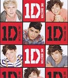 1D One Direction - Giftwrap (2 sheets folded) and tags (2)