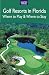 Golf Resorts in Florida: Where to Play & Where to 