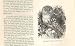 5 Pages 1862 Wood'S Natural History Birds Engravings